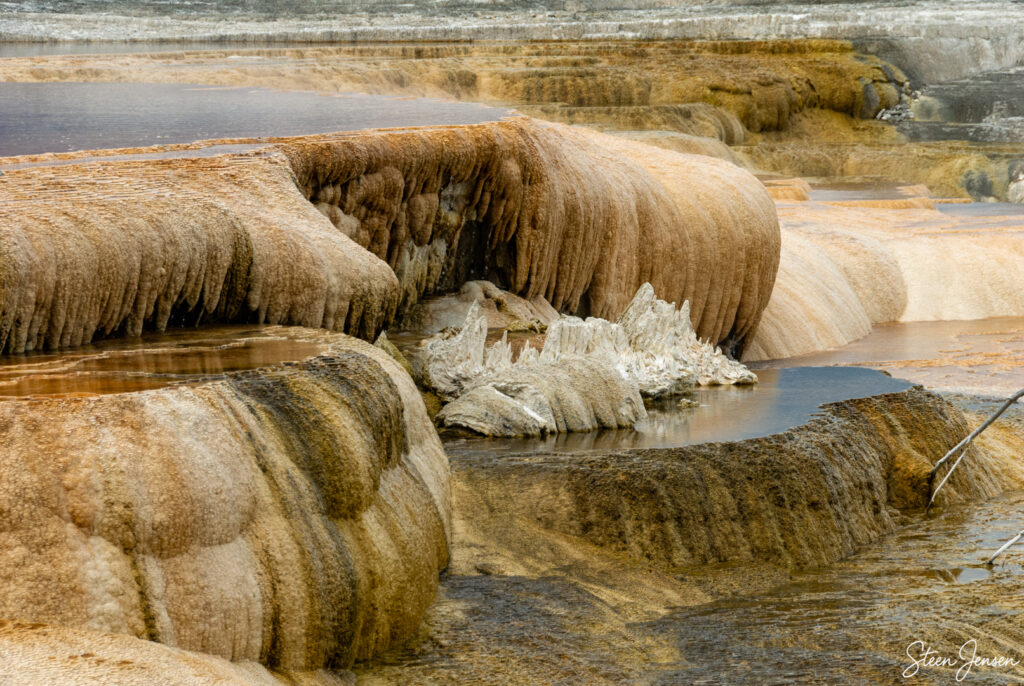 Yellowstone Mammoth Hot Springs 2