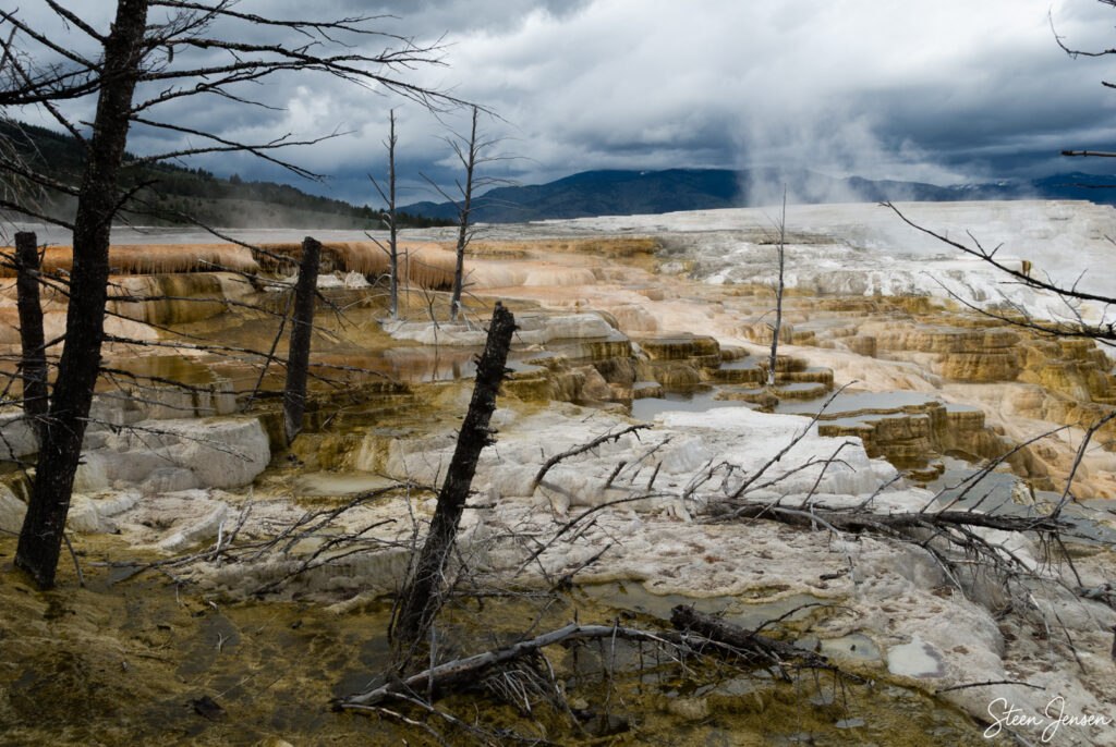 Yellowstone Mammoth Hot Springs 1