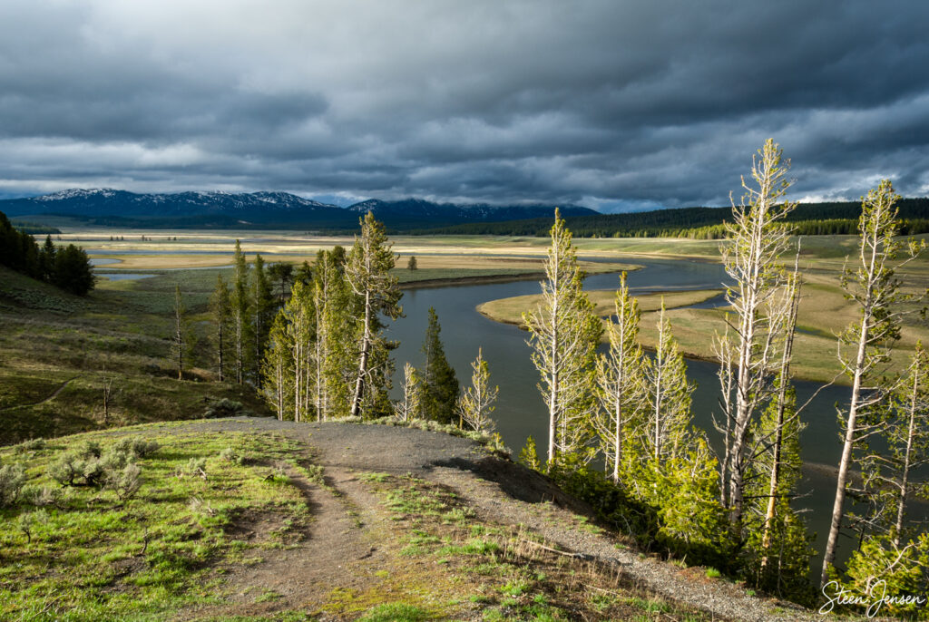 Yellowstone Hayden Valley 4