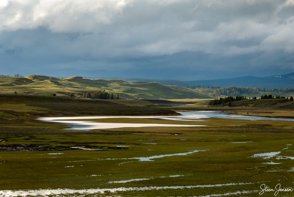 Yellowstone Hayden Valley 2