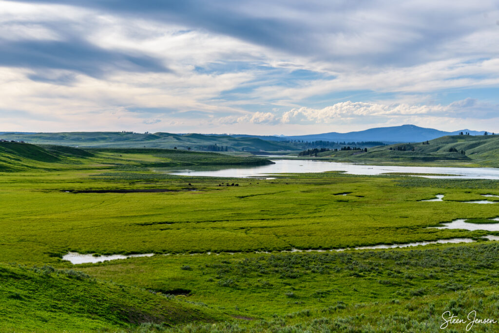 Yellowstone Hayden Valley 1