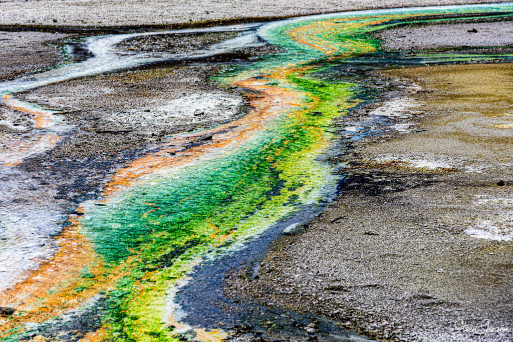 Yellowstone - Norris Geyser Basin