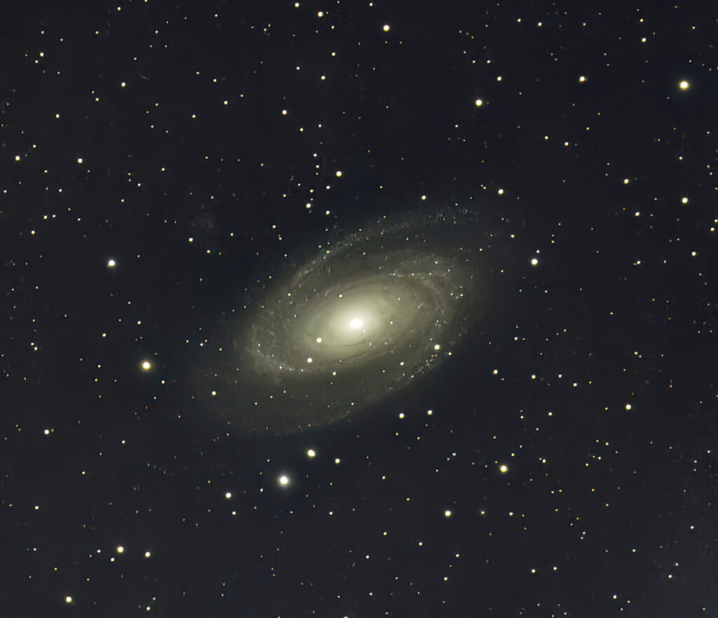 M 81