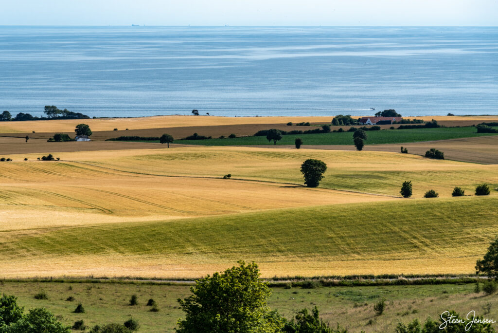 Høvblege juli