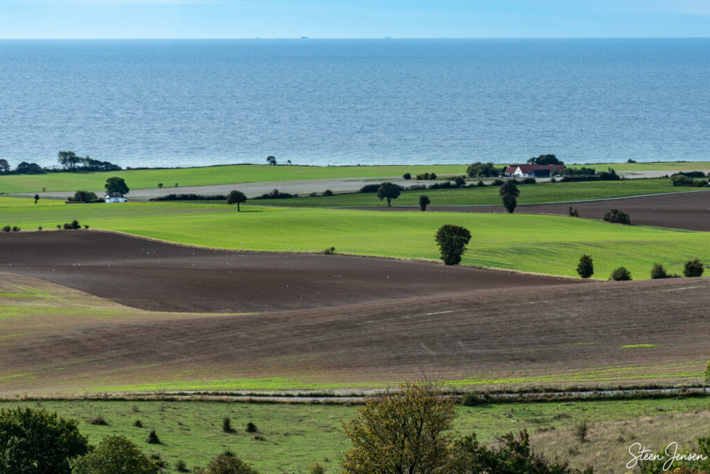 Høvblege oktober
