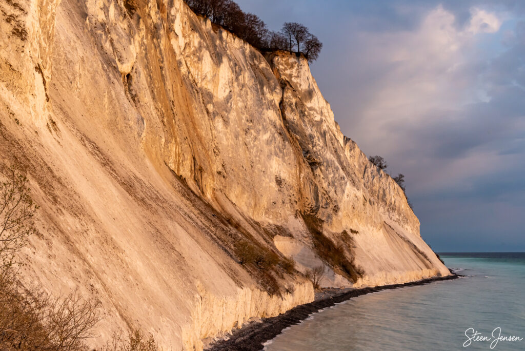 Møns Klint i den gyldne time 1
