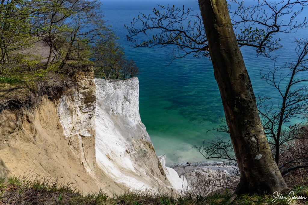 Møns Klint 10