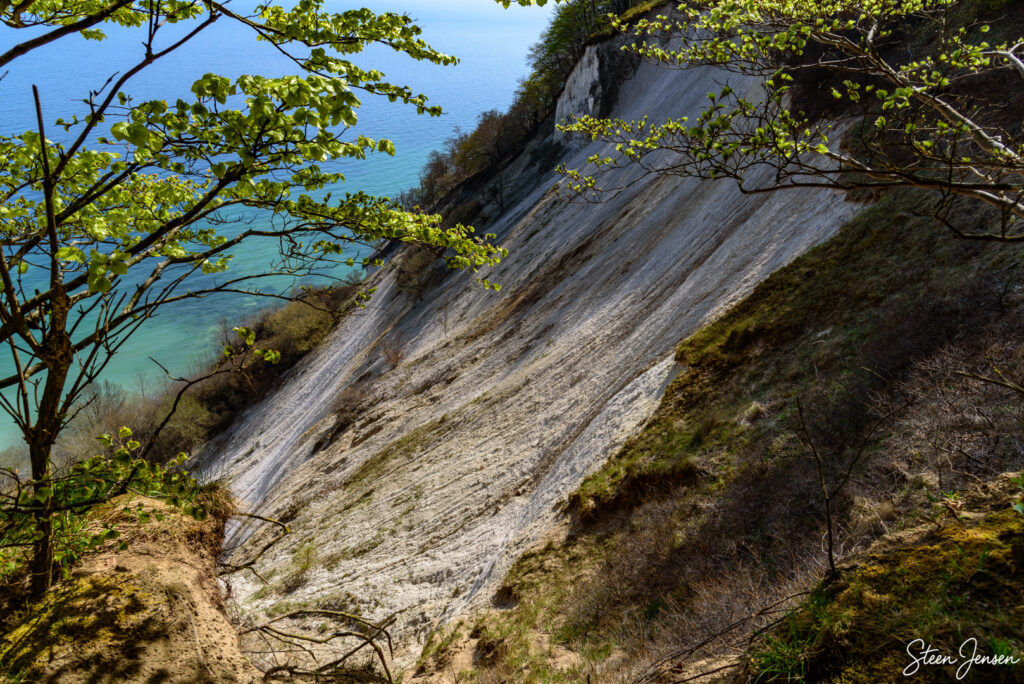 Møns Klint 3