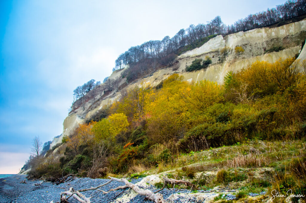 Møns Klint 1