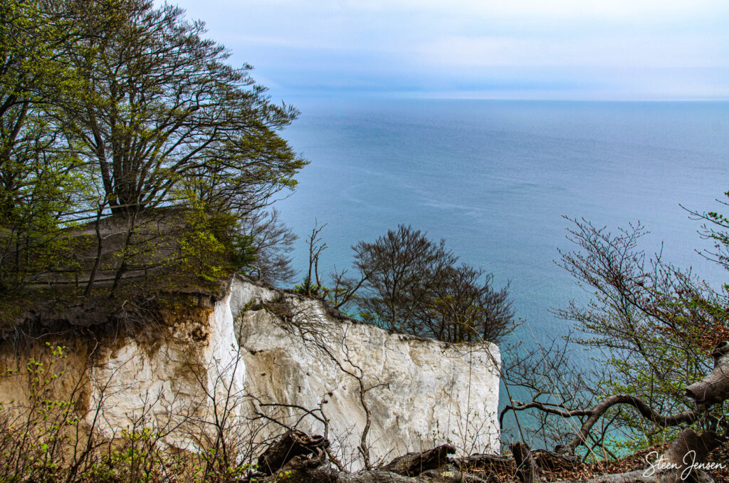 Møns Klint 9