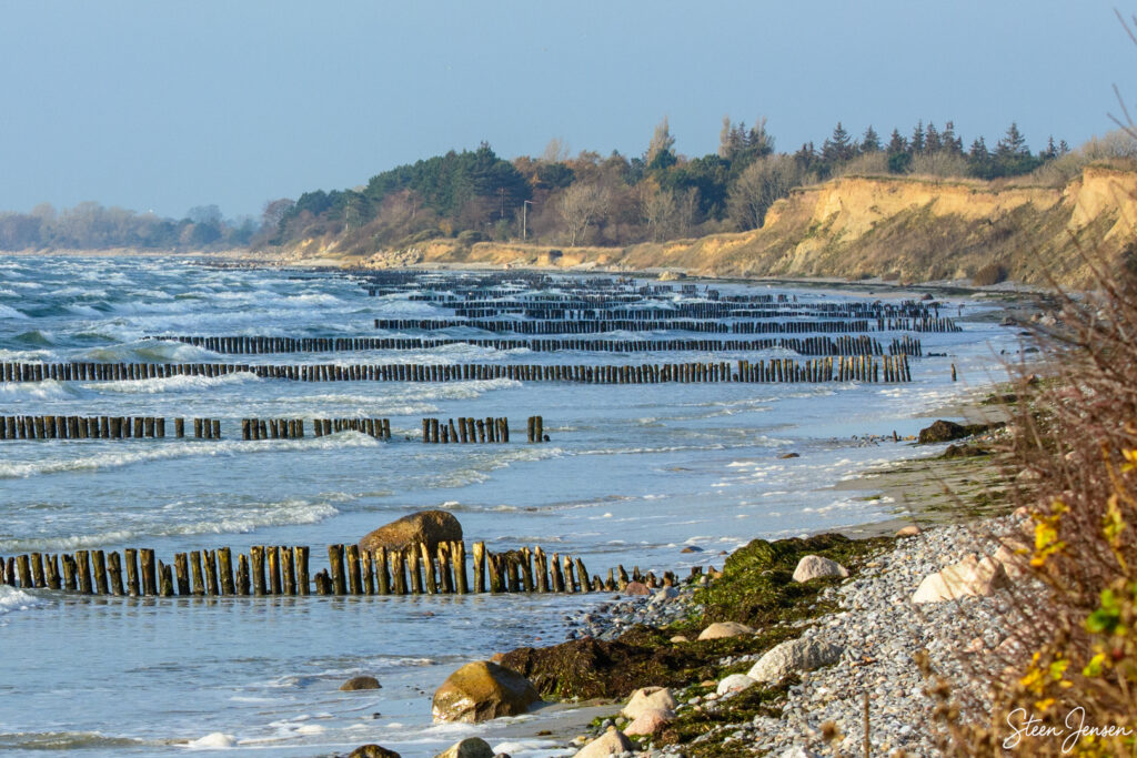 Stranden ved Kobbelgården