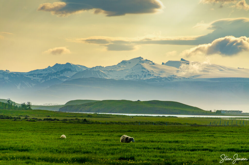 Fra Fosshotel Vätnajökull  2