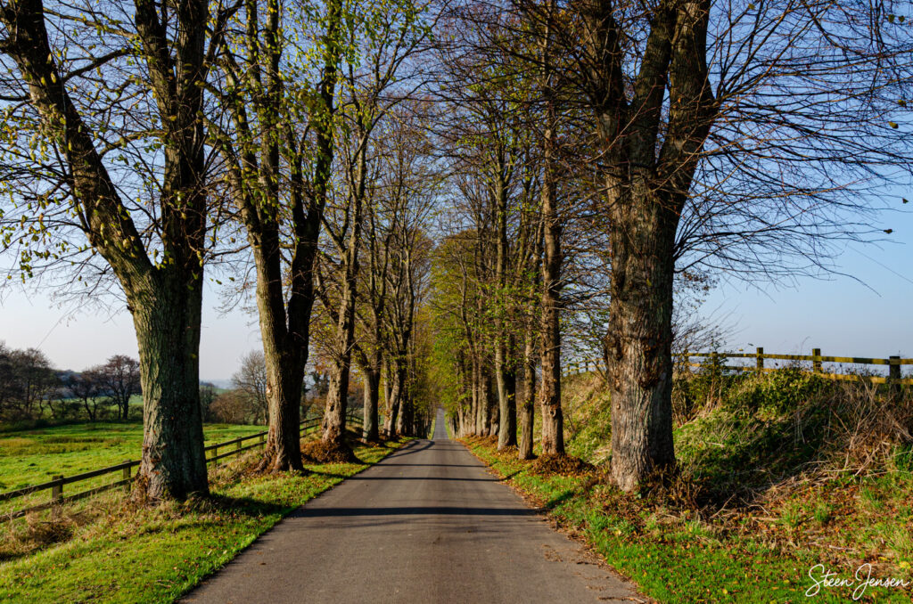 Klintholm Alleen