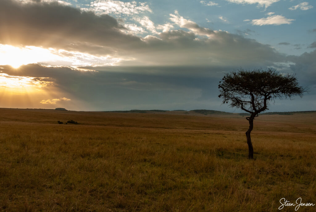 Solnedgang over Masai Mara