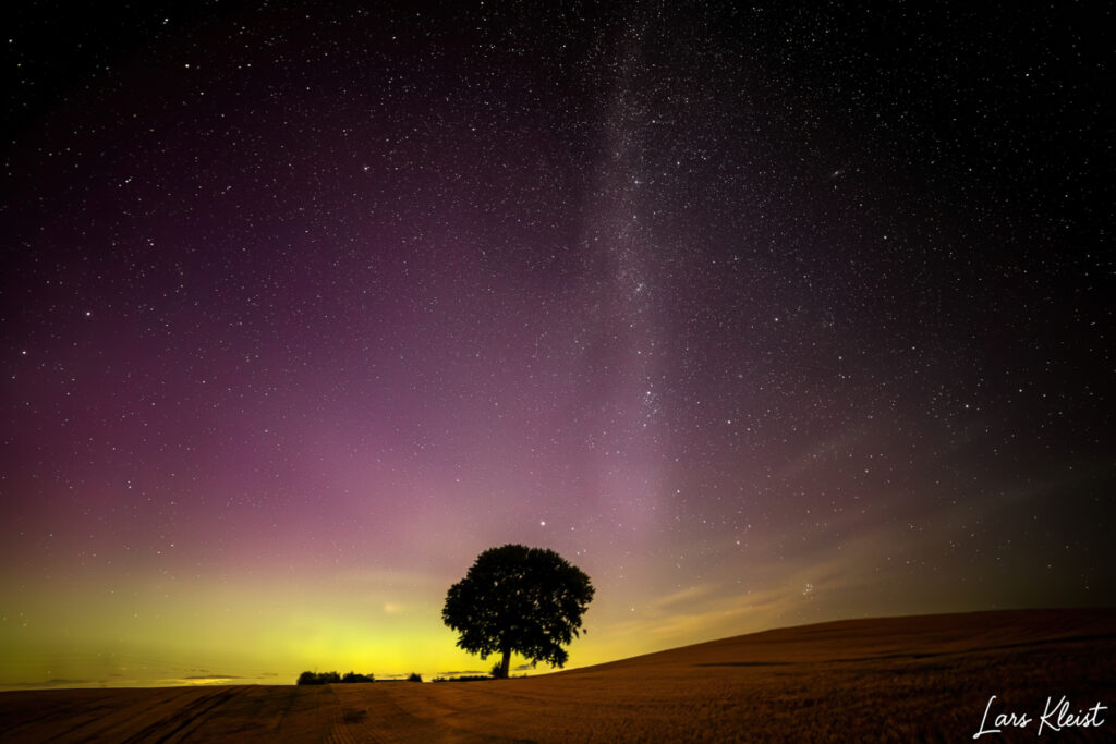 Det ensomme træ med mælkevej og nordlys
