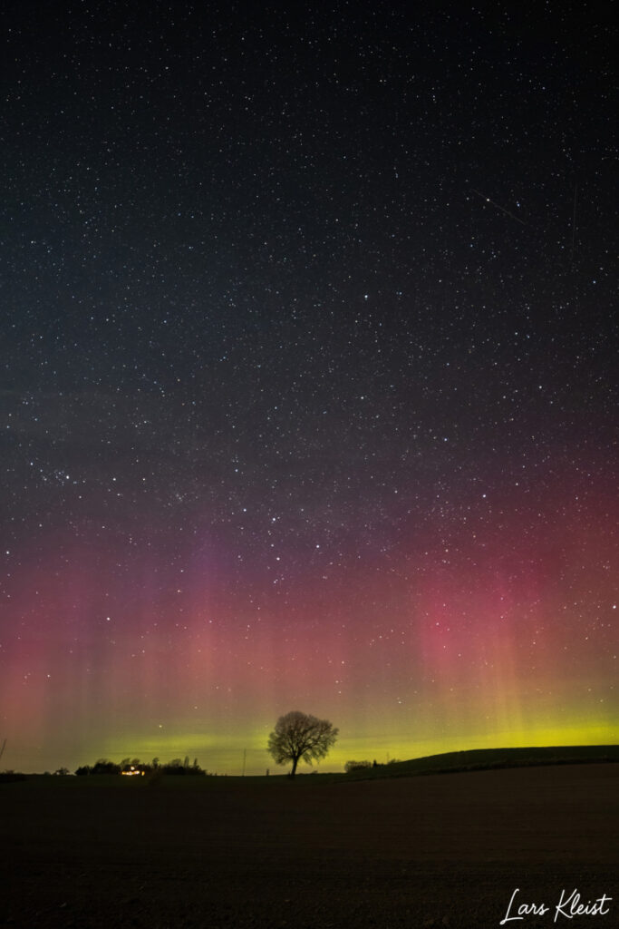 Det ensomme træ med nordlys 3