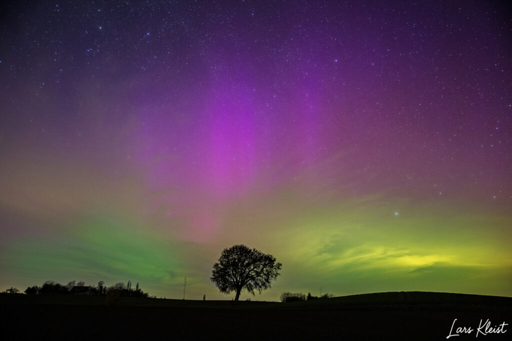 Det ensomme træ nordlys 2