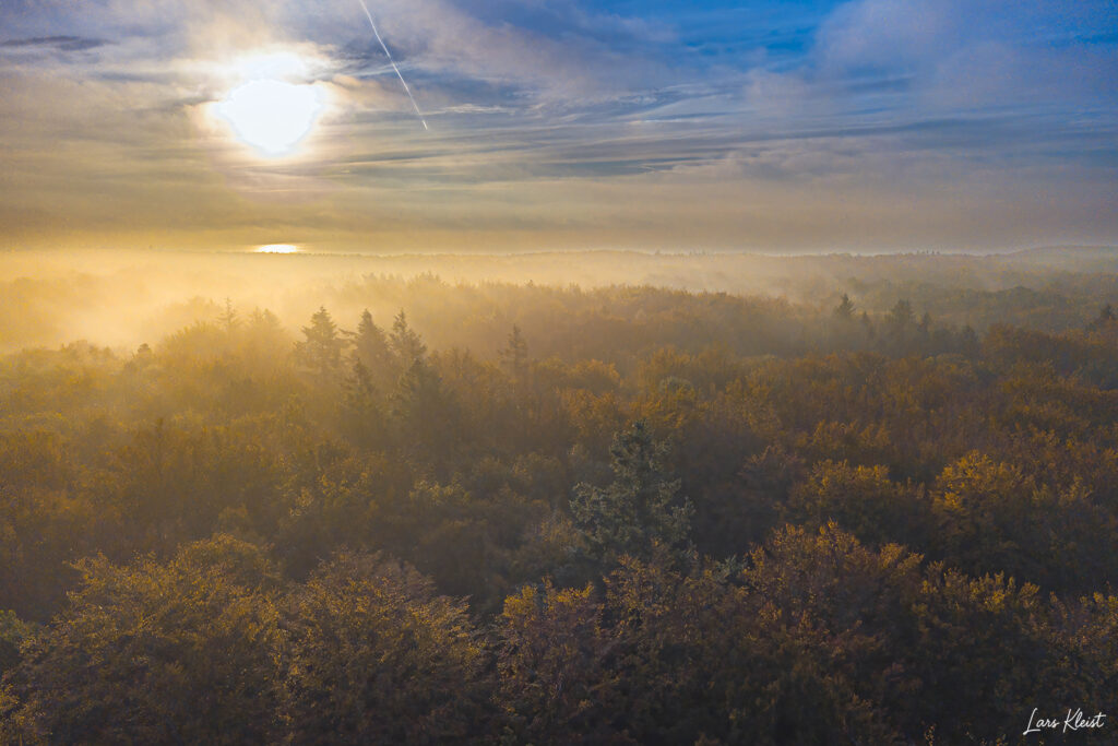 Efteraarsskov-med-taage-2-drone