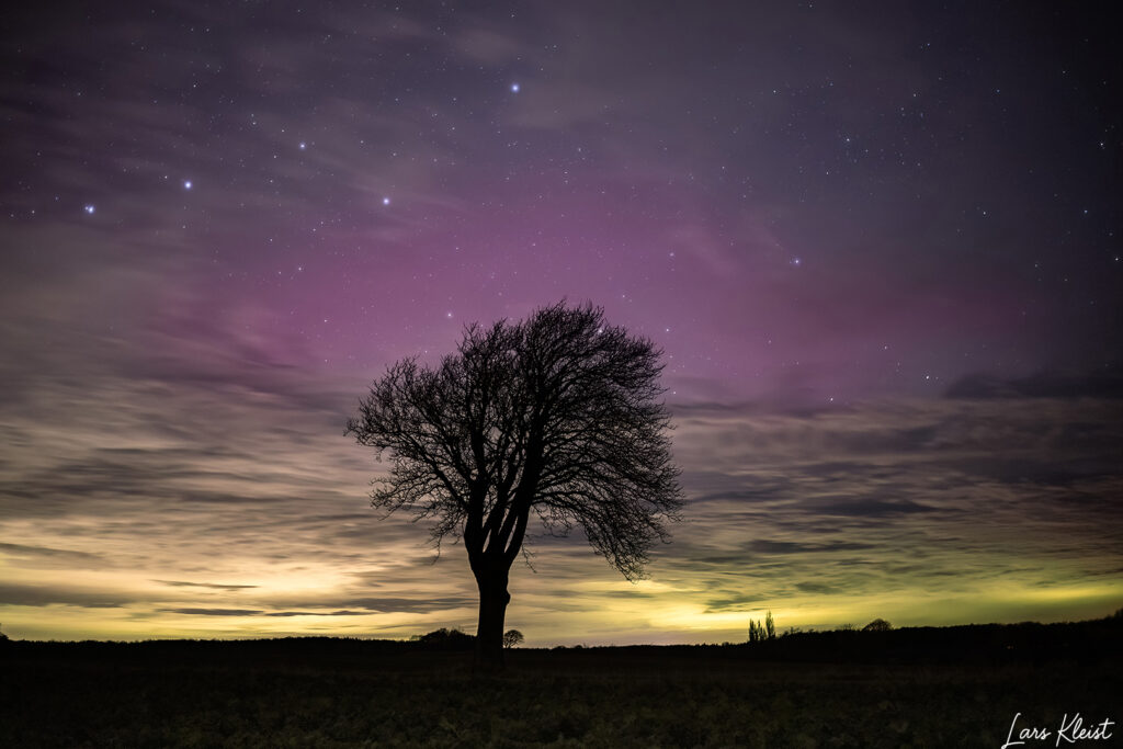 Nordlys-Fanefjord-skovvej-121125
