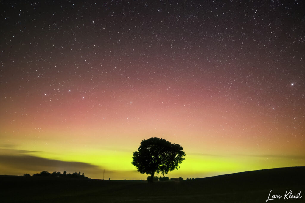 Nordlys ensomme træ 2