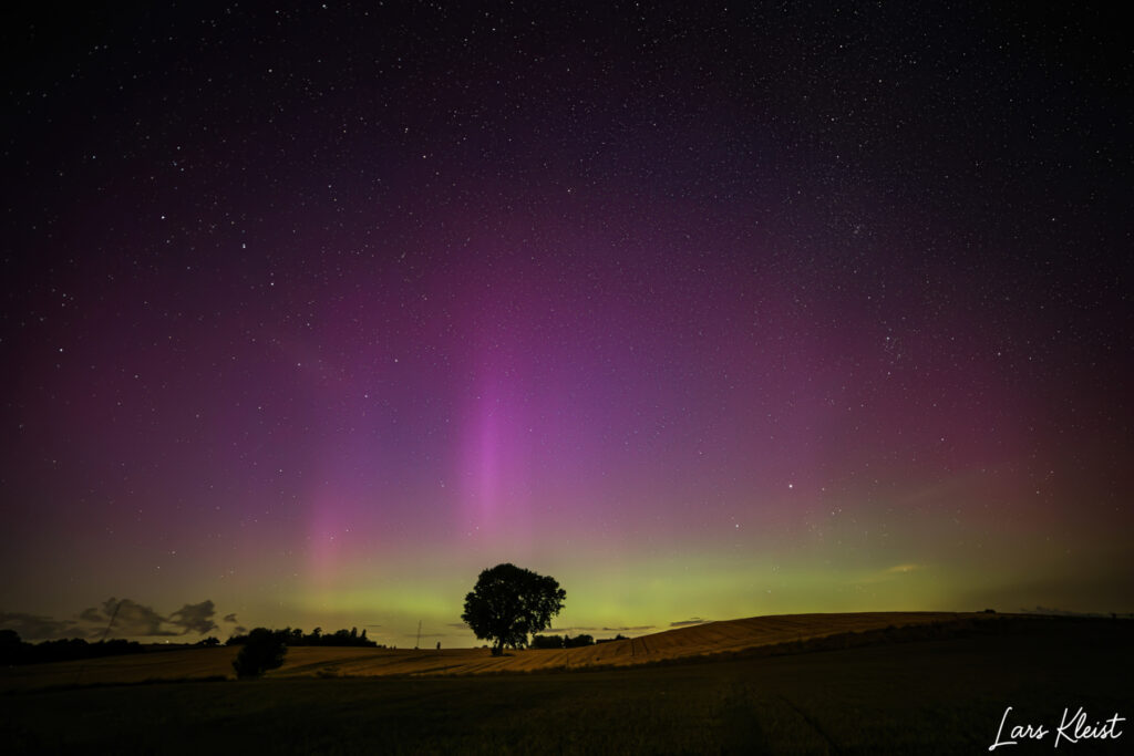 Nordlys ensomme træ 1 3