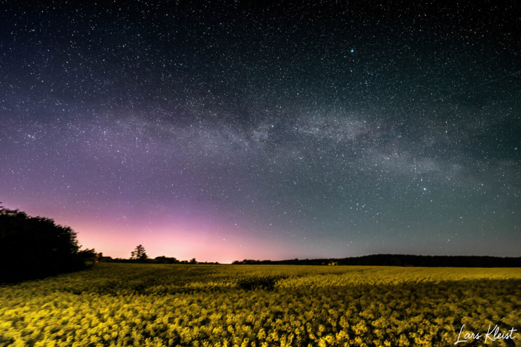 Rapsmark med nordlys
