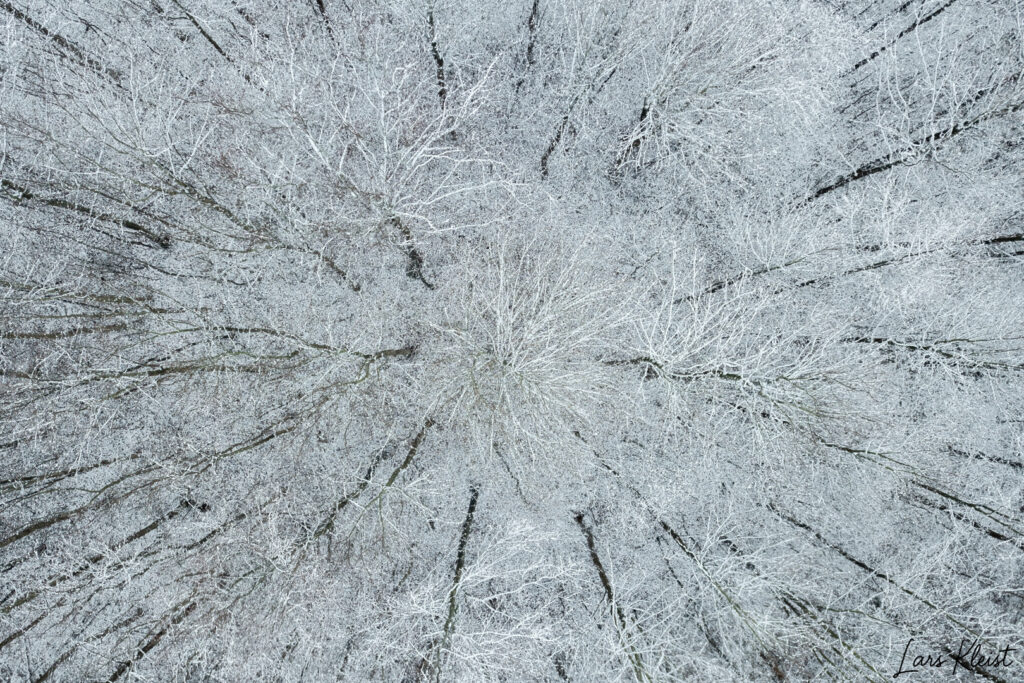Sne, Skov fra drone