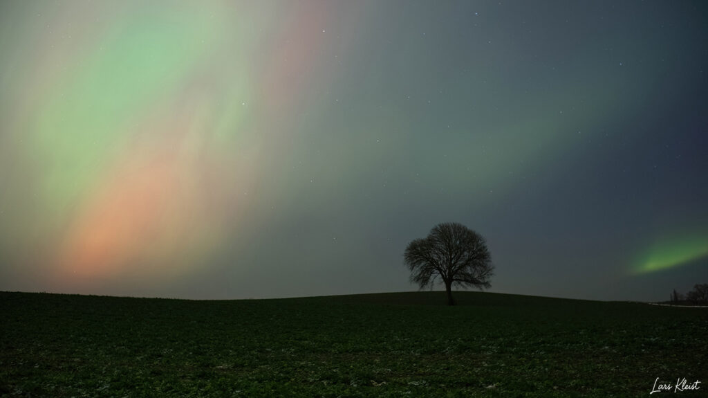 Nordlys-over-ensomt-trae-2