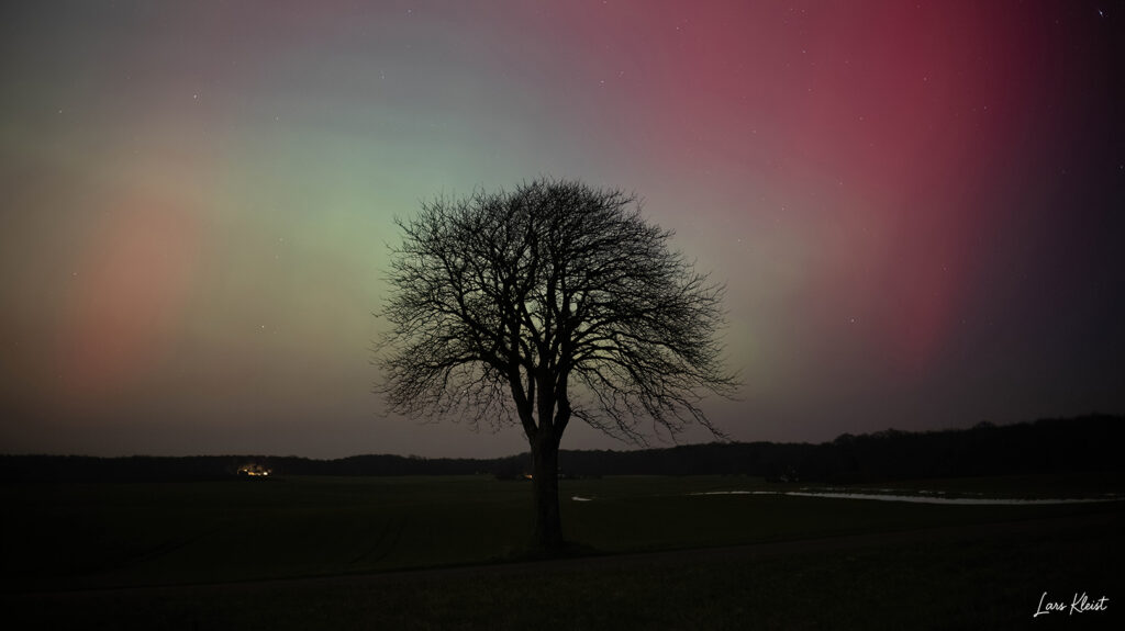 Nordlys-over-trae